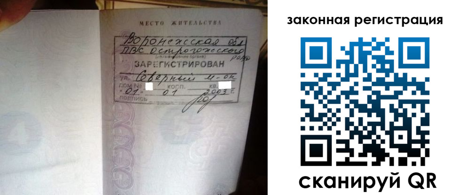 прописка поиск в Ясном